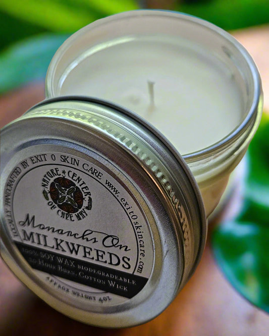 CDL: Monarchs in MilkWeeds 4oz glass