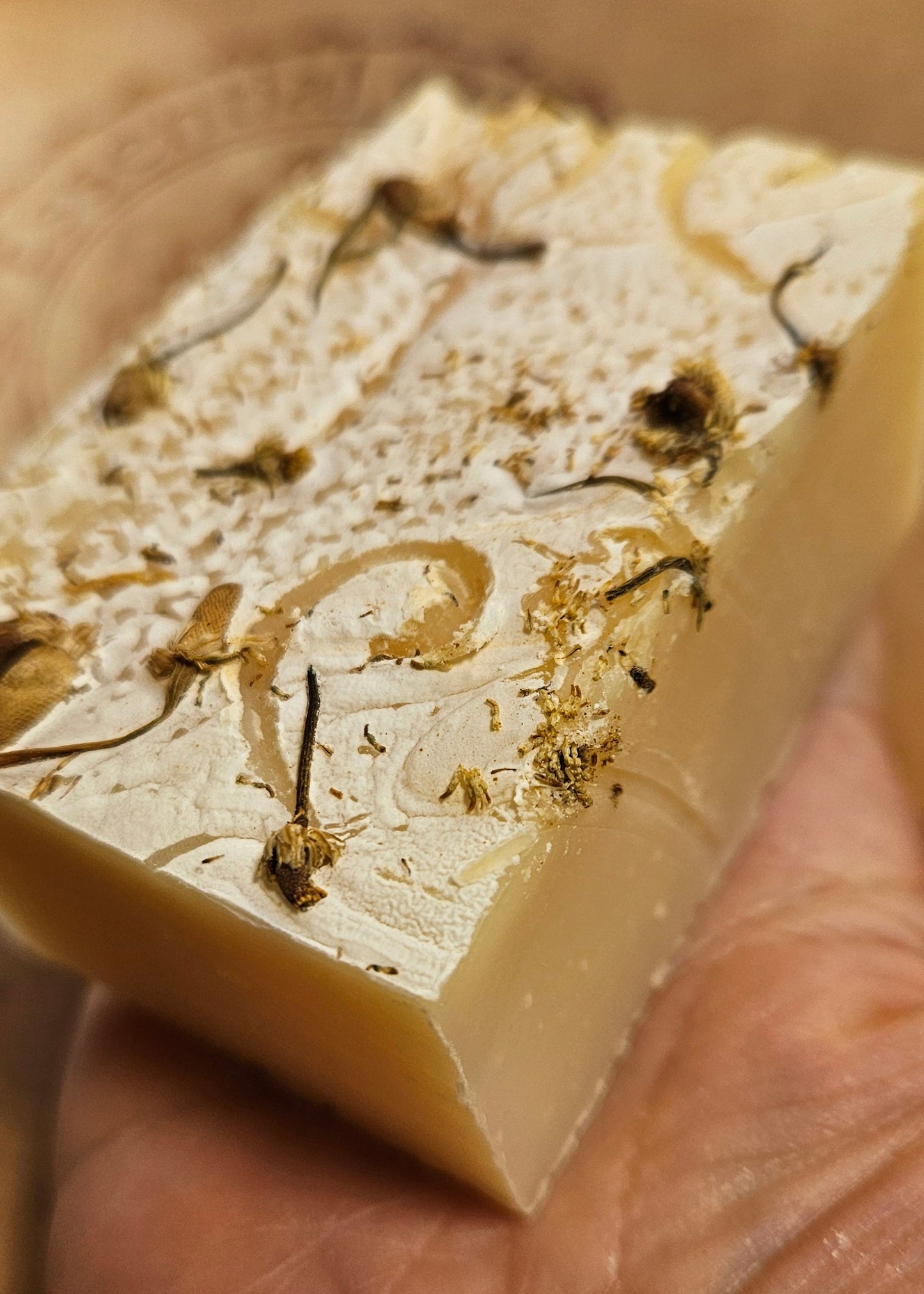 Hand holding a block of cheese with visible mold on a wooden board