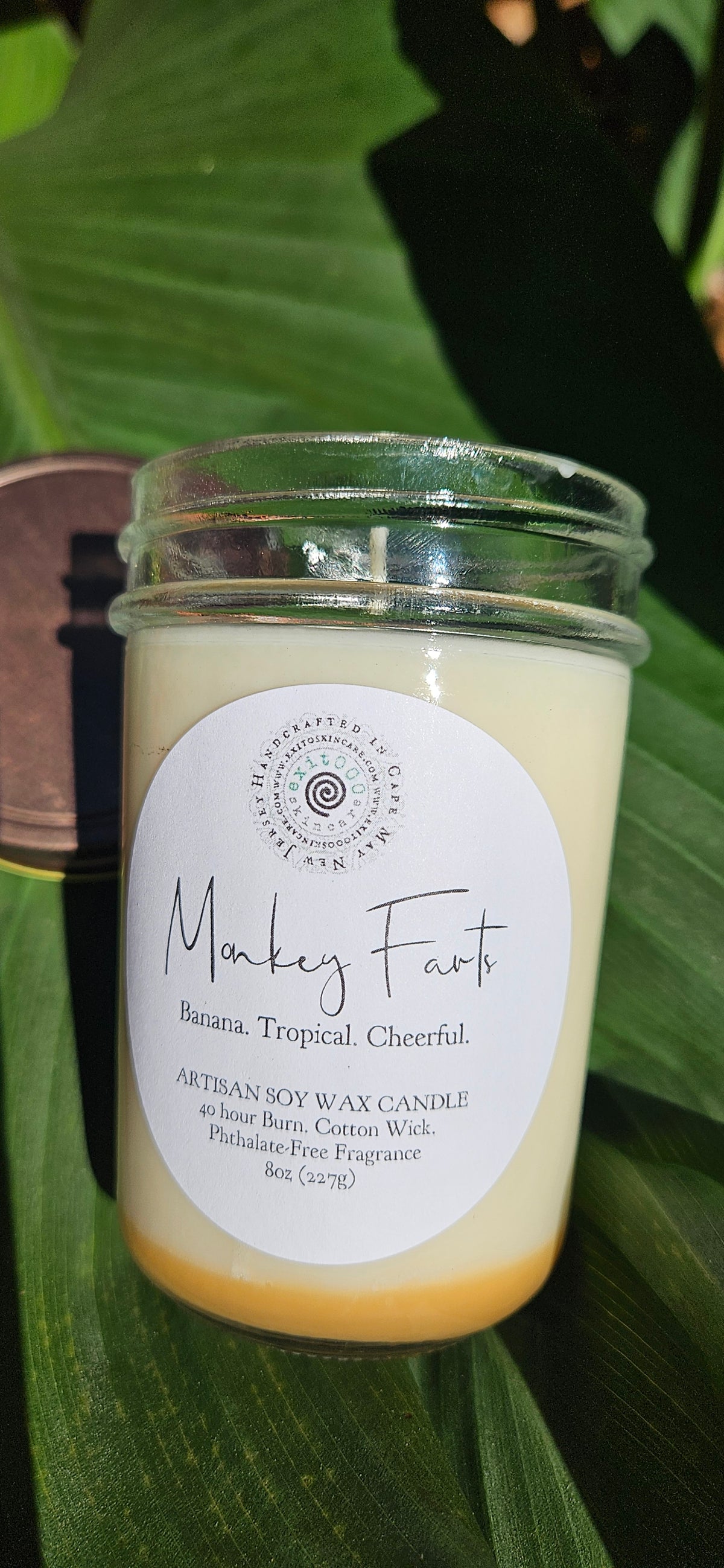 cdl: Monkey Farts Artisan Soy Jelly Jar Candle