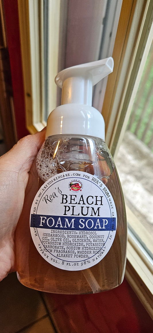 LiqSp: Beach Plum Foam Soap Reas