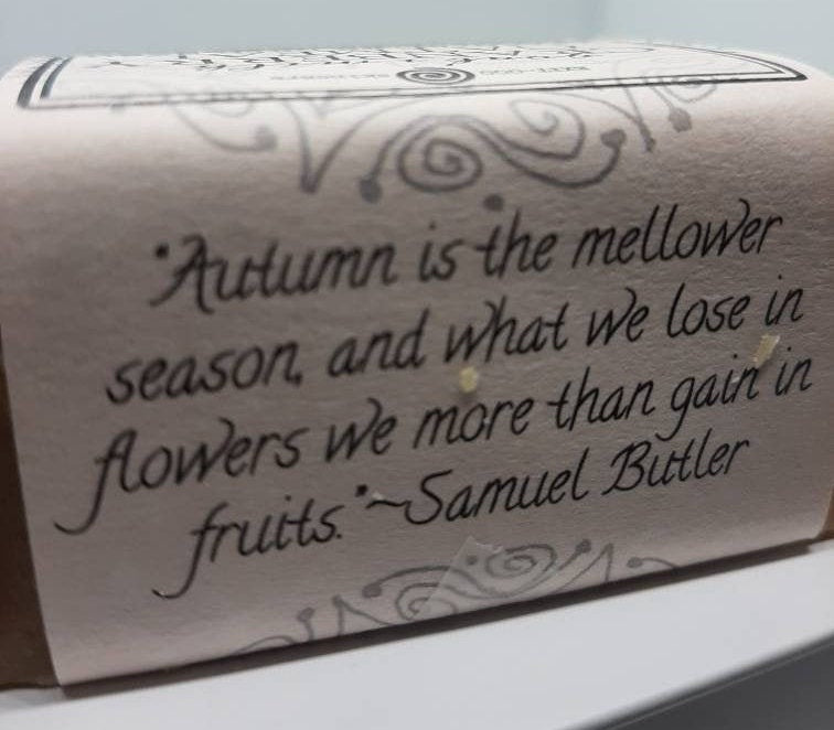 SBar: GOATS MILK Cranberry Oatmeal